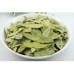 Senna Leaf Extract Supplier - 40% High Purity Plant Supplements