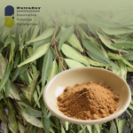 Senna Leaf Extract Supplier - 40% High Purity Plant Supplements