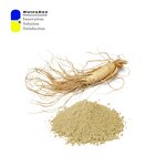 Ginseng Extract Powder Factory - 7% Ginsenosides Energy Immunity Support