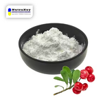 Alpha Arbutin Powder Manufacturer - Skin Whitening 99% Purity