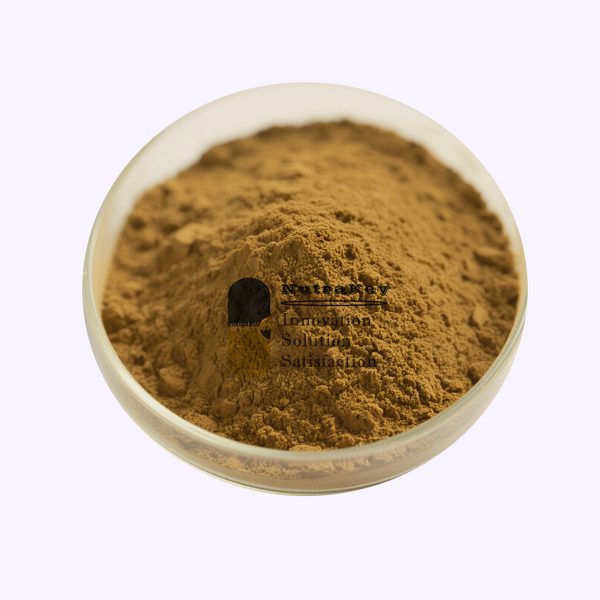 Sage Extract Powder Supplier - Wholesale 10% Polyphenols Rosmarinic Acid