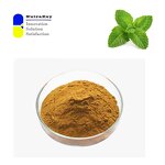 Peppermint Leaf Powder Manufacturer - Pure Natural Cooling Flavor