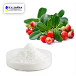 Alpha Arbutin Powder Manufacturer - Skin Whitening 99% Purity