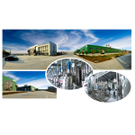 Senna Leaf Extract Supplier - 40% High Purity Plant Supplements