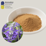 Sage Extract Powder Supplier - Wholesale 10% Polyphenols Rosmarinic Acid