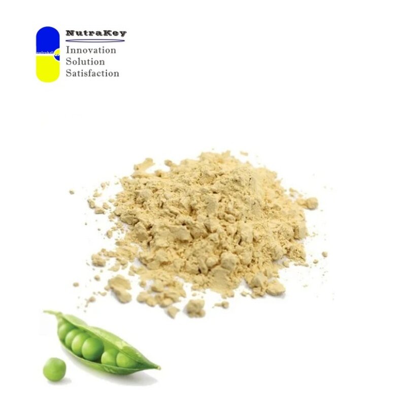 Pea Protein Isolate Powder Supplier - Non-GMO 80% Plant-Based Vegan