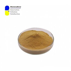 Fenugreek Seed Extract Powder Factory - 20% Saponins HPLC Tested