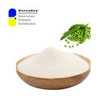 Pea Protein Isolate Powder Supplier - Non-GMO 80% Plant-Based Vegan