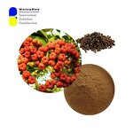 Evodiamine Powder Manufacturer - 98% HPLC Thermogenic Fat Burner