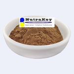 Monk Fruit Extract Powder Manufacturer - Organic Mogroside V5% Free Sample