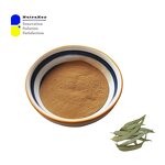 Eucalyptus Extract Powder Supplier - 5:1 Leaf Extract Respiratory Support