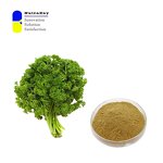 Parsley Extract Powder Manufacturer - 4:1 Petroselinum Crispum Extract