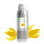 Ylang-Ylang Essential Oil Factory - Therapeutic Wholesale 100% Pure Natural Organic