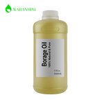 Borage Seed Oil Manufacturer - Pure Cold Pressed Bulk OEM Carrier Oil for Skin Care