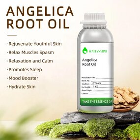 Angelica Essential Oil Supplier - Factory Supply Pure Natural Custom Private Label