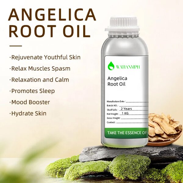 Angelica Essential Oil Supplier - Factory Supply Pure Natural Custom Private Label