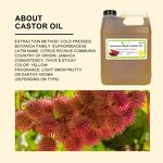 Black Castor Oil Manufacturer - Wholesale Bulk Cold Pressed Jamaican for Hair Growth