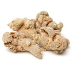 Angelica Essential Oil Supplier - Factory Supply Pure Natural Custom Private Label