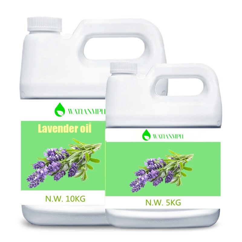 Lavender Essential Oil Factory - 100% Pure and Natural Fragrance Enhances Wonderful