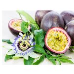 Passion Fruit Seed Oil Factory - Bulk Carrier Oils Cold Pressed Unrefined 100% Organic