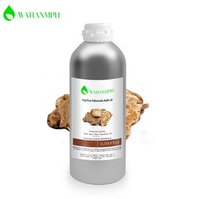 Angelica Root Essential Oil Supplier - Wholesale Private Label 100% Pure Nature Top Grade