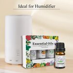 Diffuser Oil Set Supplier - 3 Pack Water-soluble Fragrance Essential Oil Private Label OEM