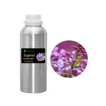 Methyl Eugenol Essential Oil Manufacturer - Wholesale Bulk Price CAS 97-53-0 Pure Therapeutic