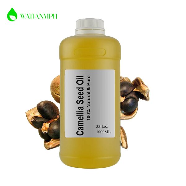 Camellia Seed Oil Manufacturer - Organic Cold Pressed Wild Bulk for Skin Care Baby Oil