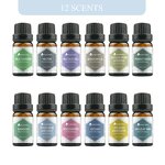 Water Base Perfume Oil Supplier - 10ml Fragrance Essential Oil Humidifier Aroma Private Label