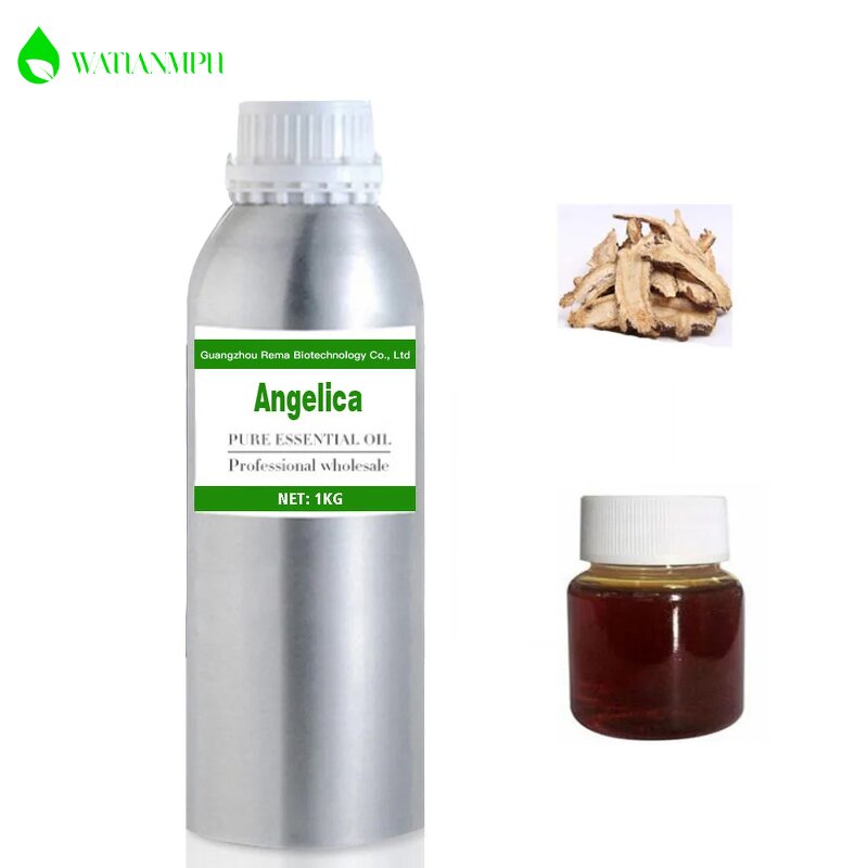 Angelica Essential Oil Factory - Wholesale Pure Natural Private Label Factory Supply