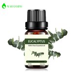 Essential Oils Gift Set Factory - Private Label 100% Pure Natural Organic Lavender Eucalyptus