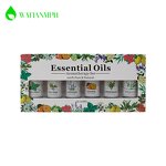 Diffuser Oil Set Factory - 6 Pack Water-soluble Fragrance Essential Oil Private Label OEM