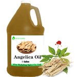 Wild Angelica Root Oil Supplier - Natural Herbal Oils Wholesale Chinese for Body Lotion