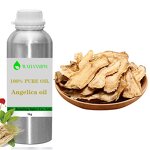 Angelica Essential Oil Factory - Wholesale Pure Natural Private Label Factory Supply