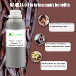 Vanilla Oil Supplier - Fragrance Body Care for Aromatherapy Soap Candle Making