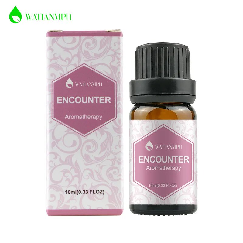 Water Base Perfume Oil Supplier - 10ml Fragrance Essential Oil Humidifier Aroma Private Label