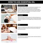 Methyl Eugenol Essential Oil Manufacturer - Wholesale Bulk Price CAS 97-53-0 Pure Therapeutic