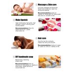 Aloe Vera Oil Supplier - Bulk for Skin and Hair