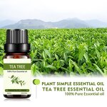 Tea Tree Essential Oil Manufacturer - Private Label OEM 10ml Pure for Beauty Facial Body
