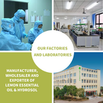 Rice Bran Oil Manufacturer - 100% Natural Premium Quality Essential Oil for Hair Care