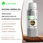 Bupleurum Oil Supplier - Cold Pressed Pure Organic for Body Care Daily Use