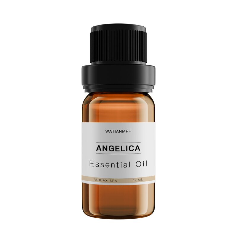 Angelica Oil Manufacturer - 100% Pure Natural Organic Essential Oil Bulk Price for Skin Care