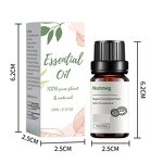 Nutmeg Oil Manufacturer - OEM 10ml Therapeutic Grade 100% Natural Indian for Health Care