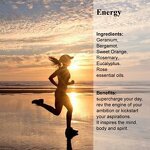 Rosemary Essential Oil Factory - OEM Custom Organic Pure Geranium Bergamot Sweet Orange