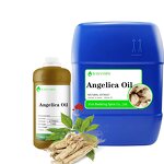 Angelica Essential Oil Factory - Wholesale Pure Natural Private Label Factory Supply