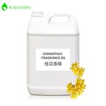 Agarwood Fragrance Oil Factory - Manufacturer Wholesale 100% Pure Premium Natural Aromatherapy