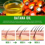 Batana Oil Supplier - Hot Sale 100% Pure Organic Vegan Unrefined Honduras for Hair Growth