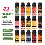 Aromatherapy Oil Set Supplier - 100% Pure Organic 10ml Pure Essential Oil Set for Diffuser