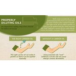 Carrier Oil Manufacturer - Popular Cold Press for Aromatherapy Massage-Almond Apricot Avocado