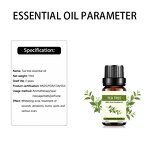 Tea Tree Essential Oil Manufacturer - Private Label OEM 10ml Pure for Beauty Facial Body